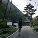 디플랜네트워크 | 괴산 명사찰 단풍이 찬란한 천년고찰 각연사~~