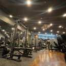 프로바디핏 이미지