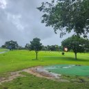 강창학체육공원 강창학파크골프장 이미지