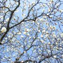 목련약국 이미지