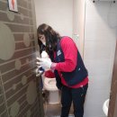 라라태권도 이미지