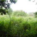 구산면582 이미지