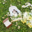 주연플라워 - 부천시 소사구 양지남로 33-1 | 【제주도 스냅팁】 비용 부담 없이 현장제작 부케 추천! 제주시 연동 ‘주연플라워’ 방문 후기 ✨