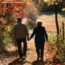 돌담만리