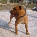 머리사랑 이미지