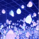 잔디밭민박 이미지