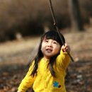 상상나무 이미지