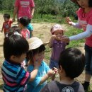 옥성농장 이미지