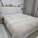 에코클린 침대소파카페트 울산본점 이미지