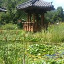 아름나라 이미지