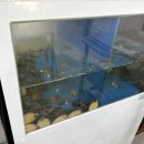 경대셀프세차장 | 칠곡경대병원 맛집, 갓성비 점심-만 원에 배부른 뼈해장국 &#34;보백관&#34; (주차팁)