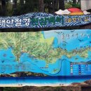솔향기환경 이미지
