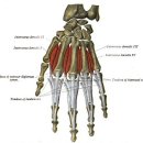 심지한의원 이미지
