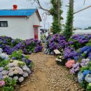 오름약국 이미지