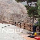 횡성온새미로 이미지