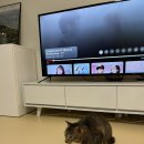 구곡시장약국 이미지