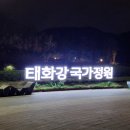 2021 태화강 빛 축제 이미지