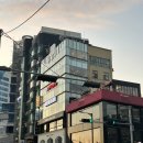 댕댕놀이터 아라점 | 광안리애견카페 / 광안리애견미용 , 도그민 푸들 곰돌이컷 후기