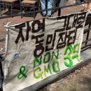 늘푸름마켓 이미지