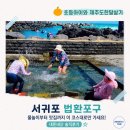 최영헤어 - 구미시 형곡로26길 6-13 | 초등아이와 제주도 한달살기｜법환포구 완벽코스! 막숙 천연수영장부터 맛집·카페·소품숍까지 총정리