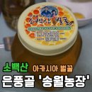 송월농장 | 은풍골 송월농장 소백산 벌꿀 효능