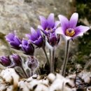 정선군 종합관광안내소 이미지