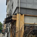 성남시청 탄천관 | 성남시청카페 카페아보리얼 후기ㅣ감성 가득했던 야탑카페 추천