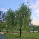 소담애족발보쌈전문점 | 동탄 호수공원 족발보쌈 전문점 , 제족족발 내돈내산 솔직후기