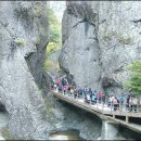 큰골사슴 이미지