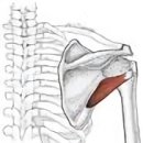 제이핏 트레이닝 이미지