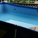 도그스테이 이미지