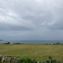 흰고래 숨비 이미지