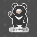 구례애올래