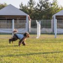 파라독스글램핑 이미지