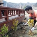 산골사랑농원
