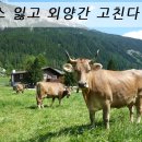 외양간 이미지