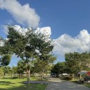 남구-061 이미지