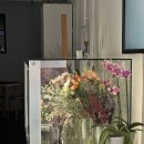 노스토스 이미지