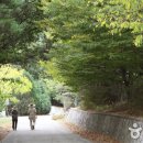 국립희리산해송자연휴양림 이미지
