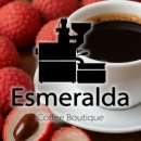 파라이소 이미지