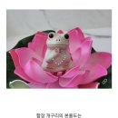 불교개구리