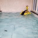 풀빌라, 오롯이 이미지