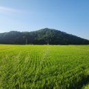 가우도노을민박 이미지