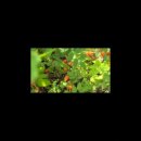 오로라가든 펜션 이미지