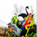 신금자 | 한밤의 사진편지 제2669호(제 539회 주말걷기 후기 - 권영춘.신금자/'18/11/20/화)