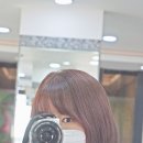 헤어미가엘 이미지