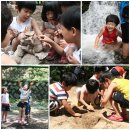 숲속의유치원 이미지