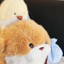 경기도 수원시 장안구 창훈로66번길 이미지