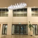 소노캄 제주 이스트타워 이미지