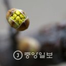서울사진관 이미지